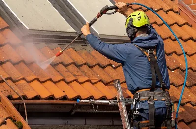Démoussage et hydrofuge de toiture à Pleucadeuc